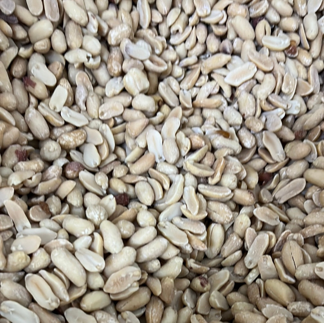 PEANUT ROASTED & SALTED
