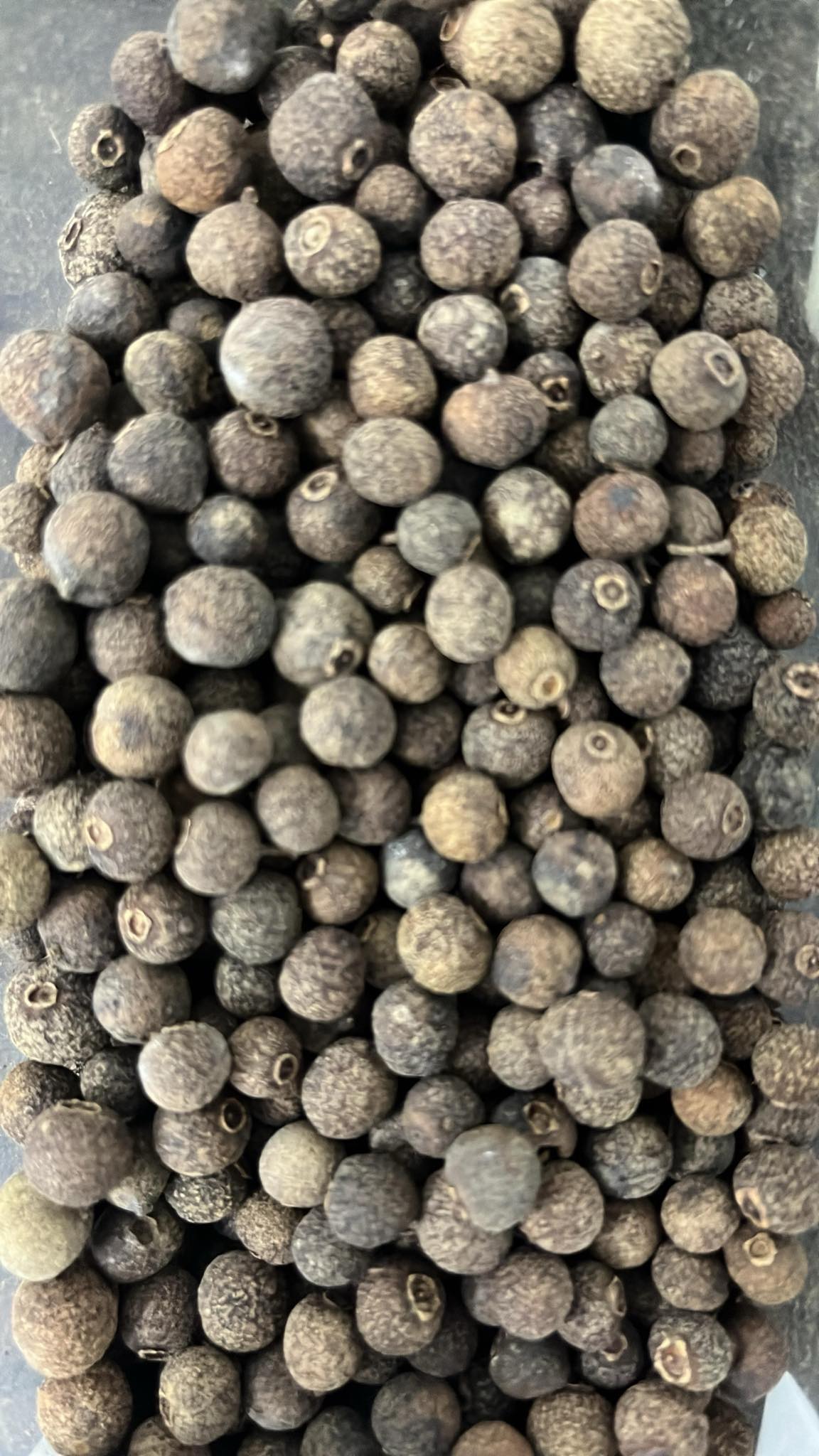 ALLSPICE WHOLE