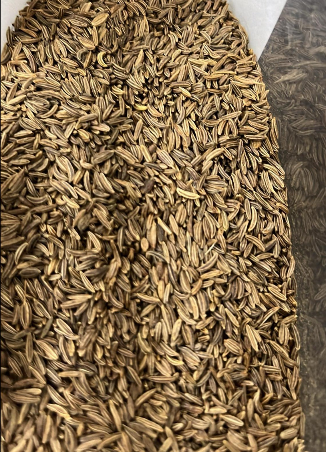 CARAWAY SEEDS
