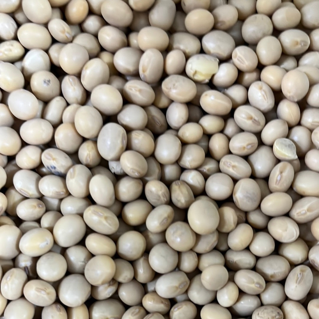 SOYA BEANS