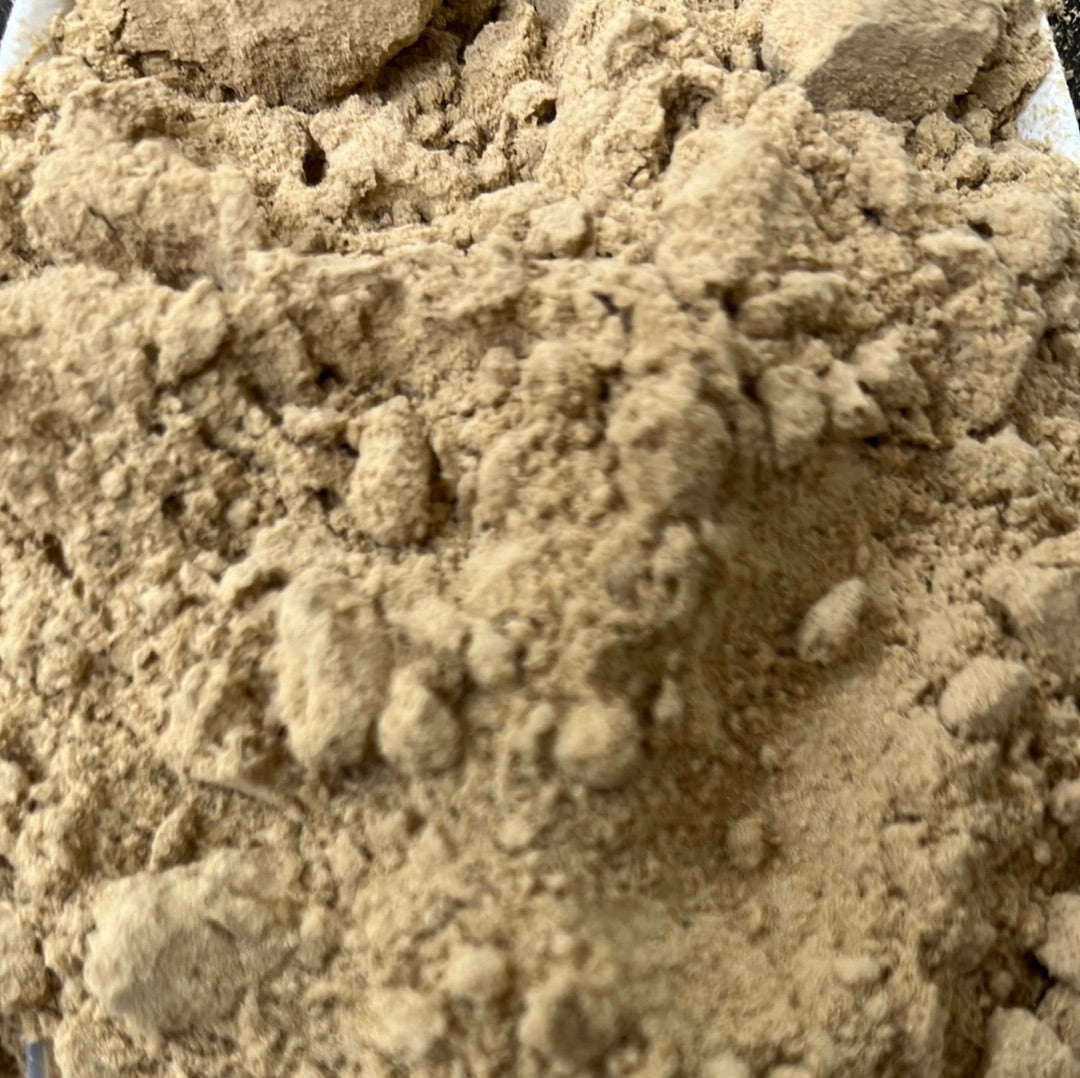 GINGER GROUND