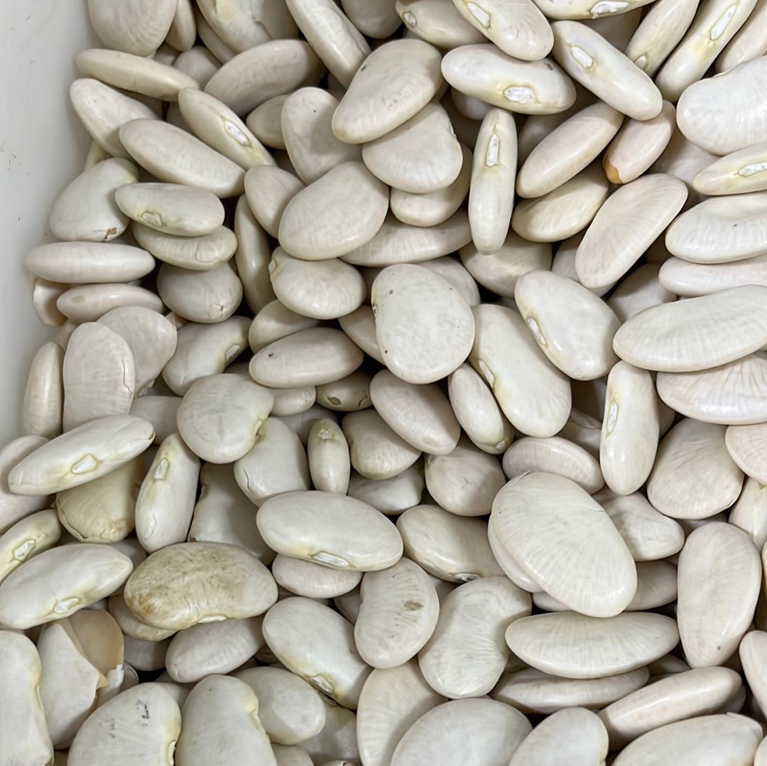 LIMA BEANS