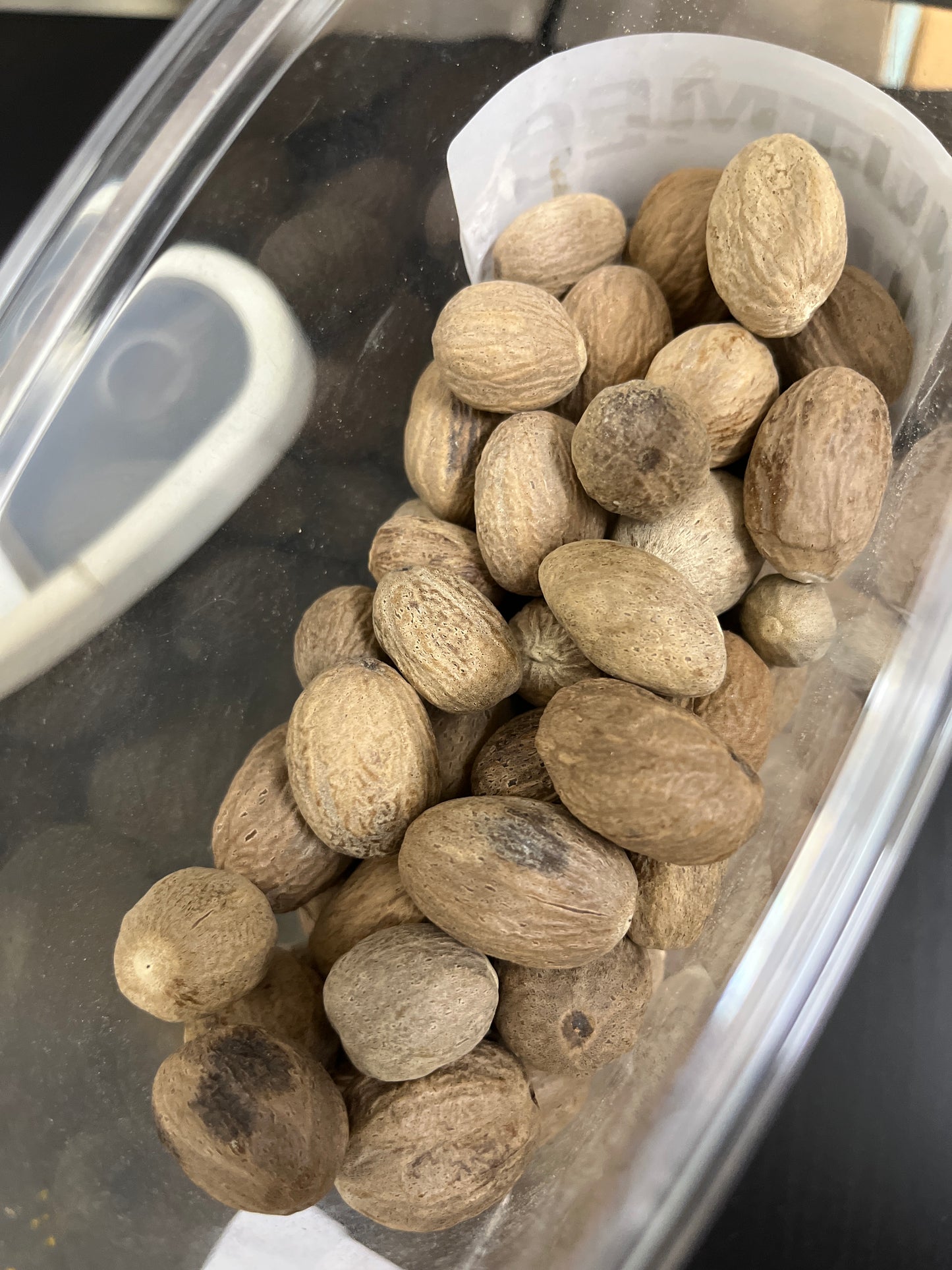NUTMEG WHOLE
