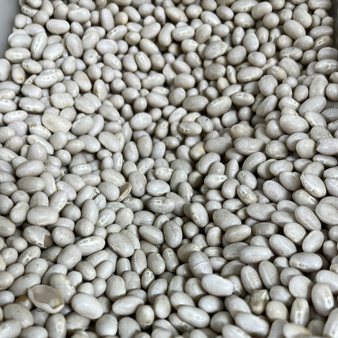 HARICOT BEANS ( NAVY)