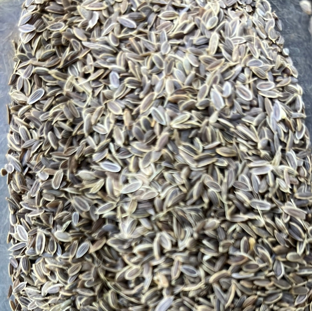 DILL SEEDS