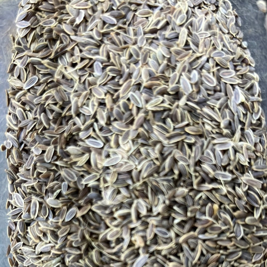 DILL SEEDS