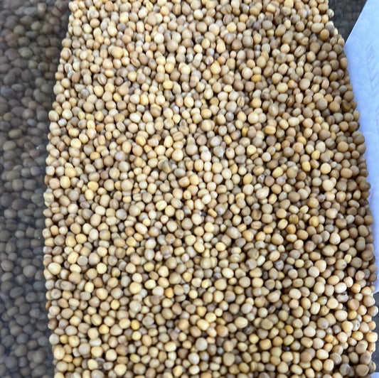MUSTARD SEED YELLOW
