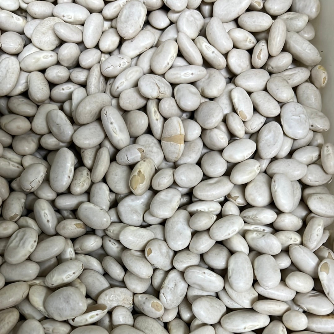 GREAT NORTHERN BEANS
