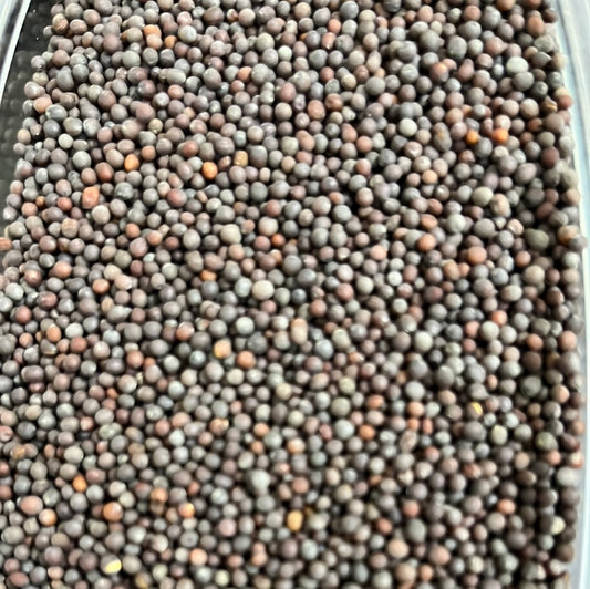 MUSTARD SEED BROWN