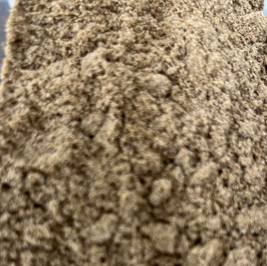 CORIANDER POWDER