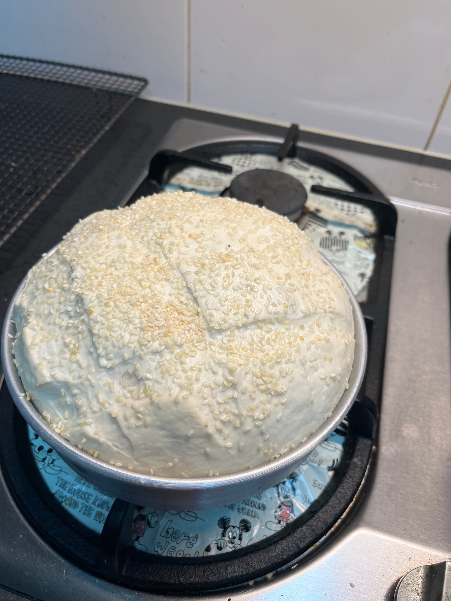 COB LOAF / SPONGE TRAY