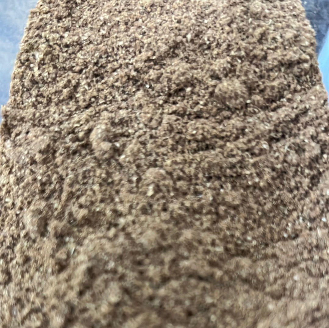 GARAM MASLA