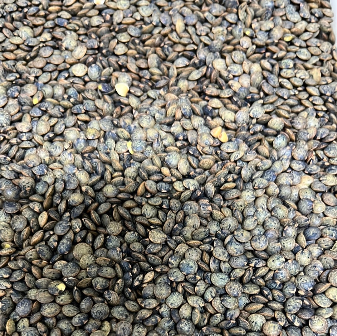 FRENCH LENTILS