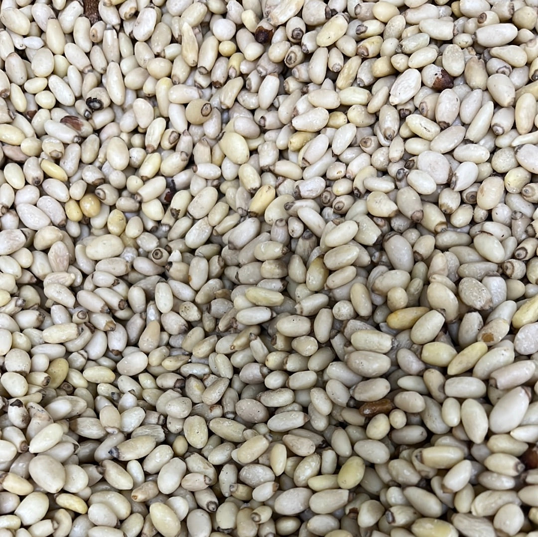 PINE NUTS