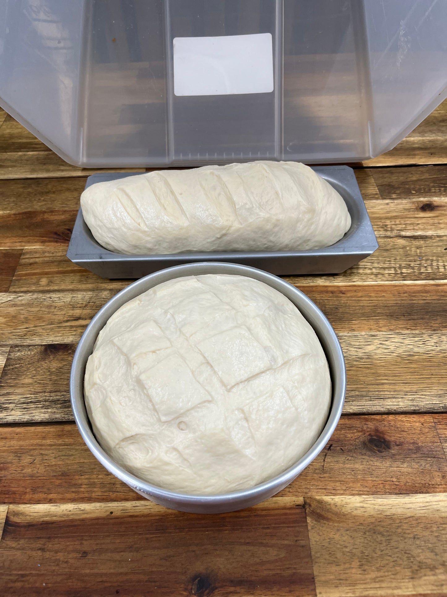 COB LOAF / SPONGE TRAY
