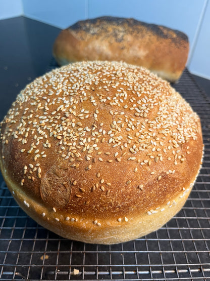 COB LOAF / SPONGE TRAY